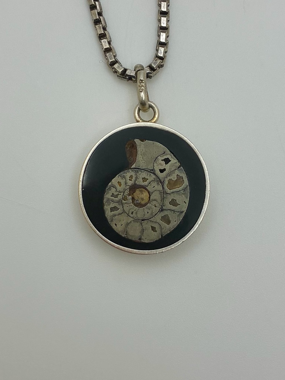 Silver Ammonite Fossil Pendant Necklace